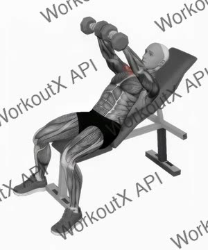 Dumbbell Incline Front Raise exercise demonstration
