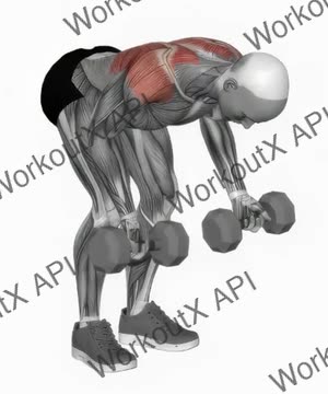 Dumbbell Bent-Over Reverse Row exercise demonstration