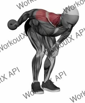 Kettlebell Shoulder Extension exercise demonstration