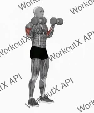 Dumbbell Reverse Grip Biceps Curl exercise demonstration