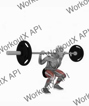 Barbell Low Bar Squat exercise demonstration