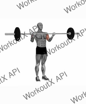 Barbell Biceps Curl Wide Grip exercise demonstration