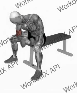 Dumbbell Seated Reverse Grip Concentration Curl exercise demonstration