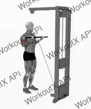 Cable Close Grip Curl exercise demonstration