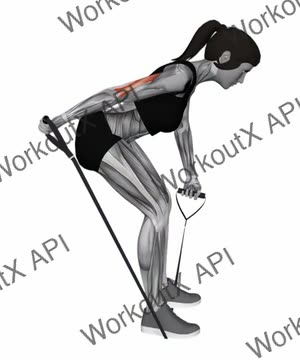 Band Bent Over One Arm Kickback exercise demonstration