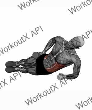 Dumbbell Side Plank Up Down exercise demonstration