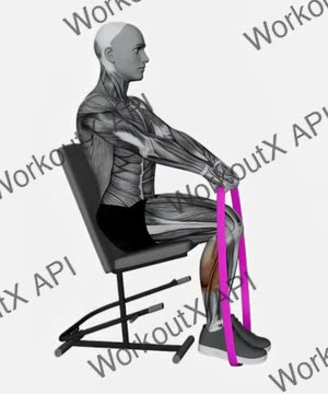 Resistance Band Calf Press Sitting on Chair exercise demonstration