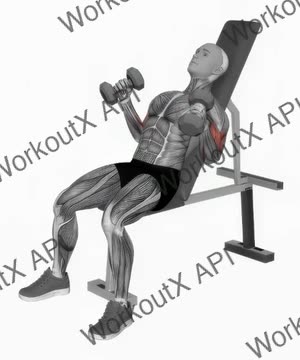 Dumbbell Incline Hammer Simultaneous Curl exercise demonstration