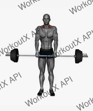 Barbell Shrugs exercise demonstration