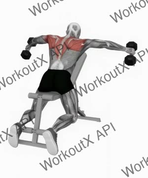 Dumbbell Chest Supported Lateral Raises exercise demonstration