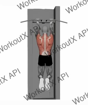 Chin Up Reverse Normal Grip exercise demonstration