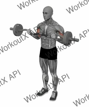 Ez Bar Biceps Curl Normal Grip exercise demonstration
