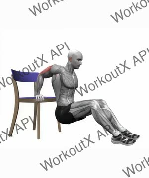 Chair Triceps Dips exercise demonstration