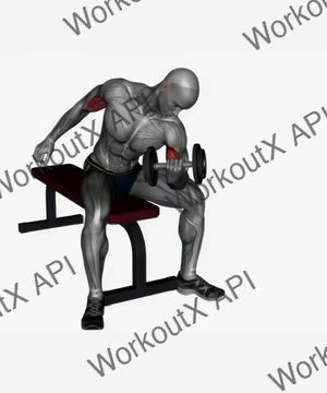 Concentration Curls Dumbbell exercise demonstration