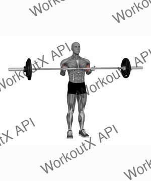 Barbell Drag Curl exercise demonstration