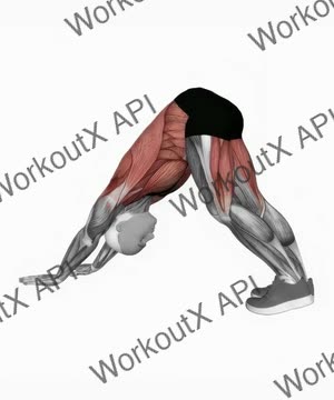 Alternating Leg Downward Dog exercise demonstration