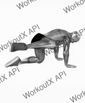 Bent Leg Side Kick (Kneeling) exercise demonstration