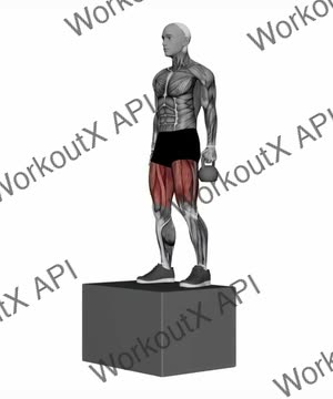 Kettlebell Step Up exercise demonstration