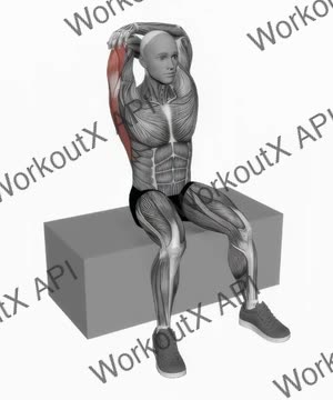 Back and Shoulder Stretch exercise demonstration