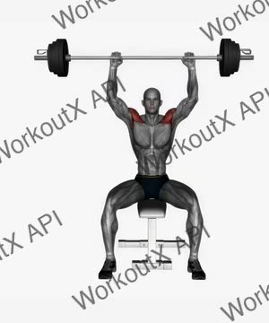 Seated Shoulder Press Barbell exercise demonstration