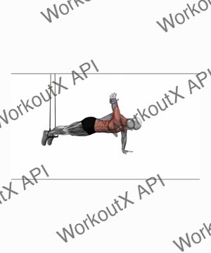 Suspension Trainer With Grips Push-Up to Side Plank exercise demonstration