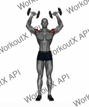 Dumbbell W Press exercise demonstration