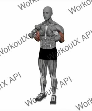 Zotman Curl Dumbbell Simultaneous exercise demonstration