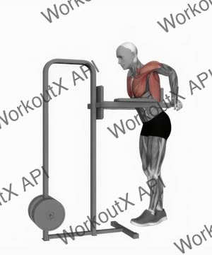 Chest Dip (On Dip Station) exercise demonstration