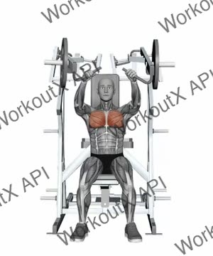 Hammer Strength Plate-Loaded Combination Iso-Lateral Chest - Chest Press exercise demonstration