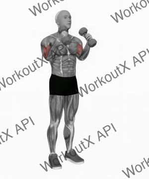 Dumbbell Zottman Curl exercise demonstration