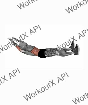Hollow Hold exercise demonstration