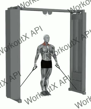 Cable 30 Degree Shrug exercise demonstration