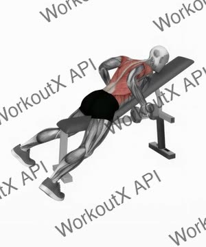 Dumbbell Hammer Grip Incline Bench Two Arm Row exercise demonstration