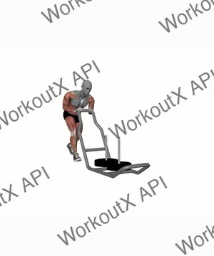 Pull Sled or Dog Sled Push exercise demonstration