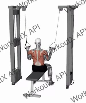 Cable Twin Handle Parallel Grip Lat Pulldown exercise demonstration