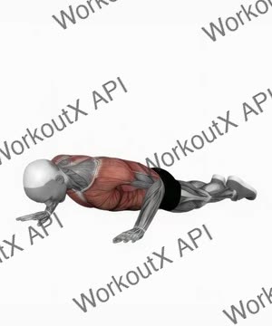 Bodyweight Kneeling Push-Up Row exercise demonstration