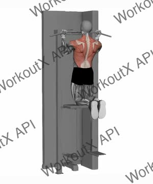 Assisted Chin Up Reverse Wide Grip exercise demonstration