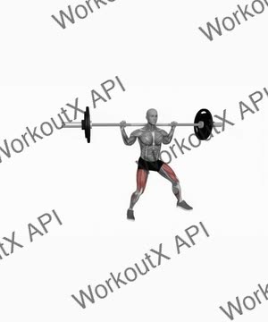 Barbell Lateral Lunges exercise demonstration