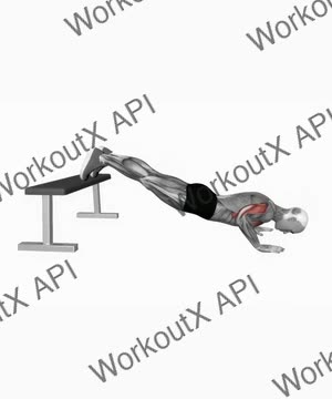 Decline Push Up exercise demonstration