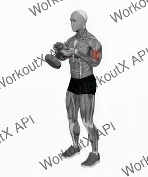 Single Dumbbell Biceps Curls exercise demonstration