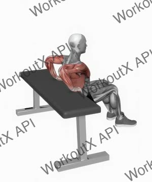 Bench Dip (Knees Bent) exercise demonstration
