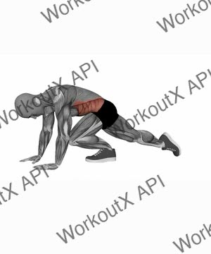 Plank Lunges exercise demonstration