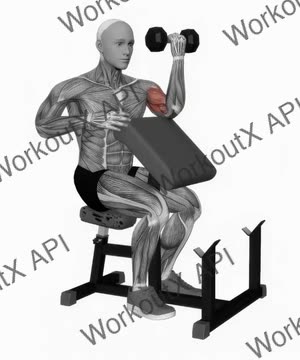 Dumbbell Preacher Curl (Turned Torso) exercise demonstration