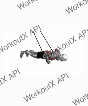 Suspension Trainer With Grips Reverse Push-Up exercise demonstration