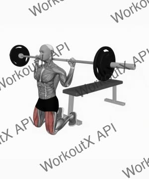 Barbell Kneeling Squat exercise demonstration