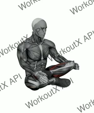 Double Pigeon Pose exercise demonstration