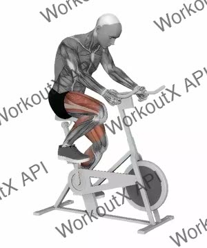 Indoor Cycling Spinbike Sprint exercise demonstration