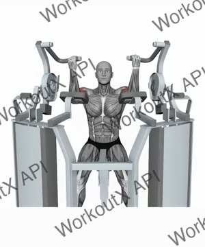 Hammer Strength Mts Iso-Lateral Biceps Curl Both Arm exercise demonstration
