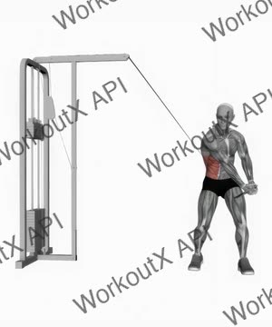 Cable Twist (Up-Down) exercise demonstration