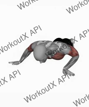 Archer Push Up exercise demonstration